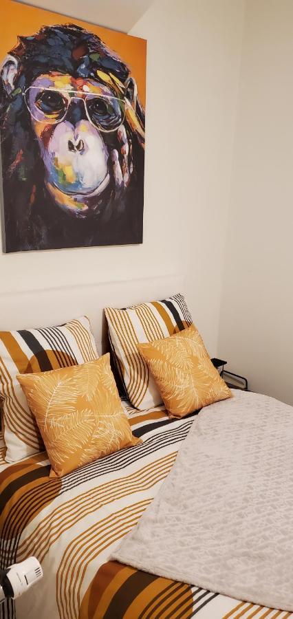 Triangle D'Or - Calme Et Cosy, Appartement 1 Chambre Saint-Quentin  Bagian luar foto